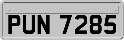 PUN7285