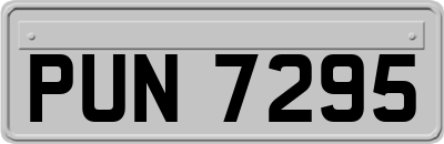 PUN7295