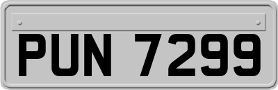 PUN7299