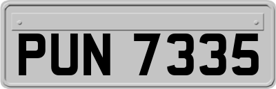 PUN7335