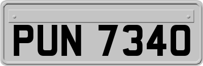 PUN7340