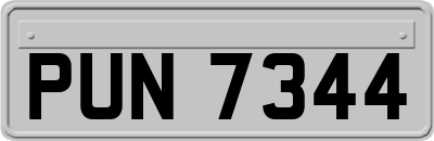 PUN7344