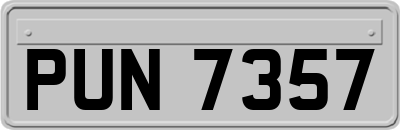 PUN7357