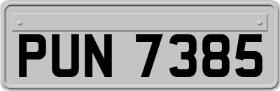 PUN7385