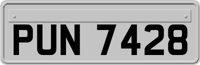 PUN7428
