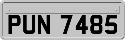 PUN7485