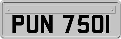 PUN7501