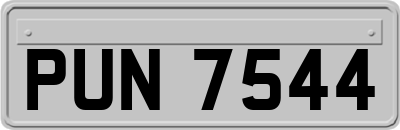 PUN7544