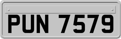 PUN7579