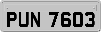 PUN7603