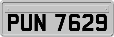 PUN7629