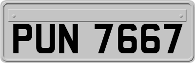 PUN7667