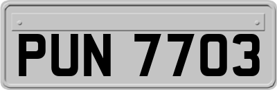 PUN7703