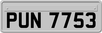 PUN7753
