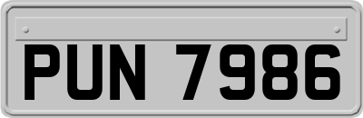 PUN7986