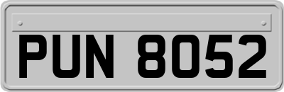 PUN8052
