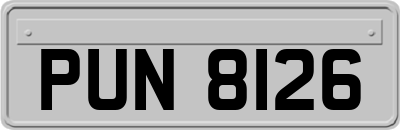 PUN8126