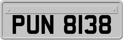 PUN8138