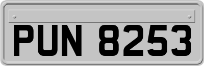PUN8253