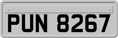 PUN8267