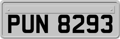 PUN8293