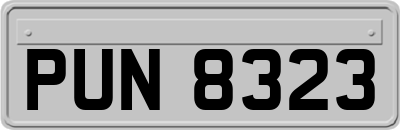 PUN8323