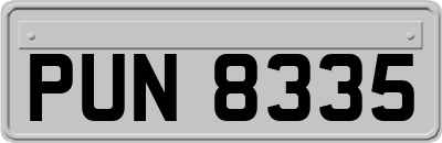 PUN8335