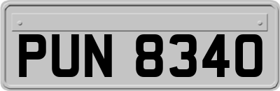 PUN8340