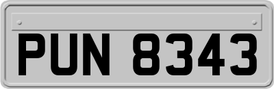PUN8343