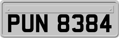 PUN8384