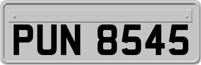 PUN8545