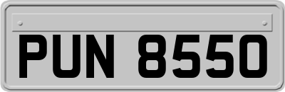 PUN8550