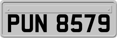 PUN8579