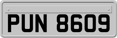 PUN8609