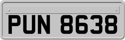 PUN8638