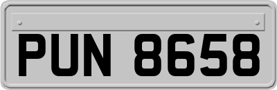 PUN8658