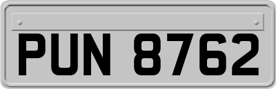 PUN8762