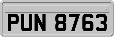 PUN8763