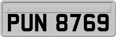 PUN8769