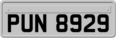 PUN8929