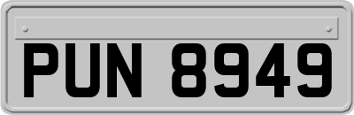 PUN8949