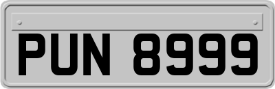 PUN8999