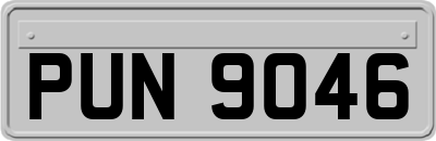 PUN9046