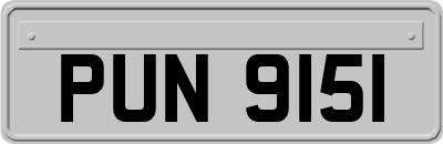 PUN9151