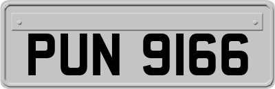 PUN9166