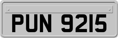 PUN9215
