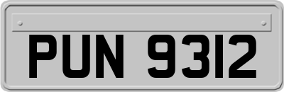 PUN9312