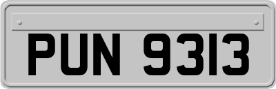 PUN9313