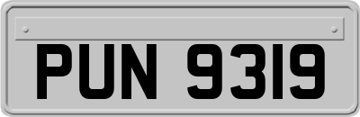 PUN9319