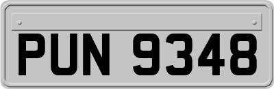 PUN9348